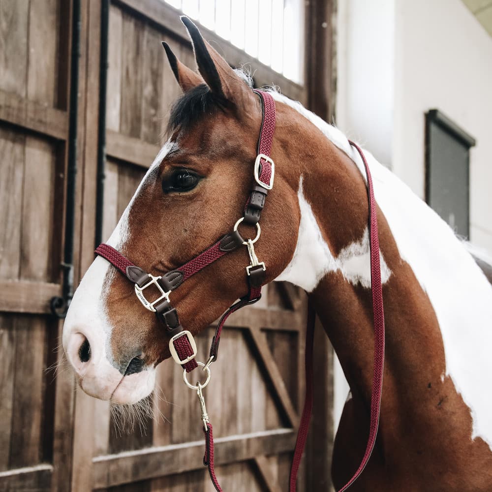 Kentucky Horsewear Licol en nylon tressé - bordeaux