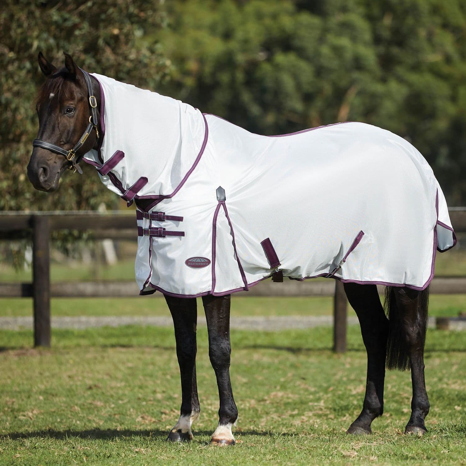 Weatherbeeta ComFiTec Essential Mesh II Combo Neck