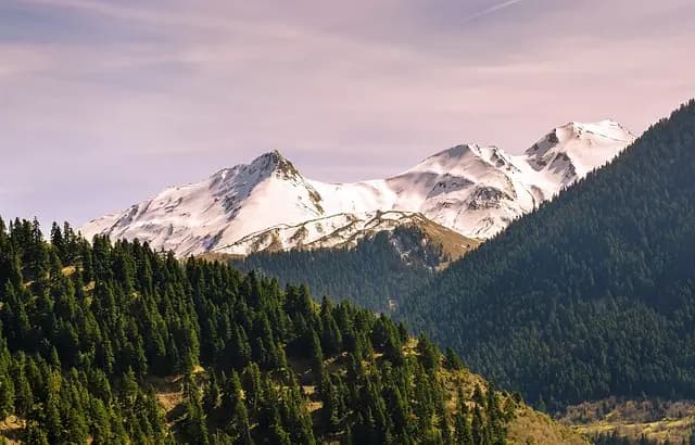 Top 10 des Activités de Loisirs Éco-Responsables à Tester