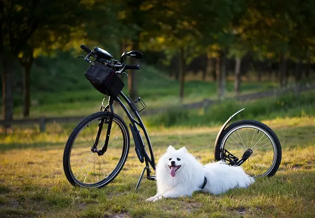 10 Budget-Friendly Leisure Activities to Enjoy with Family