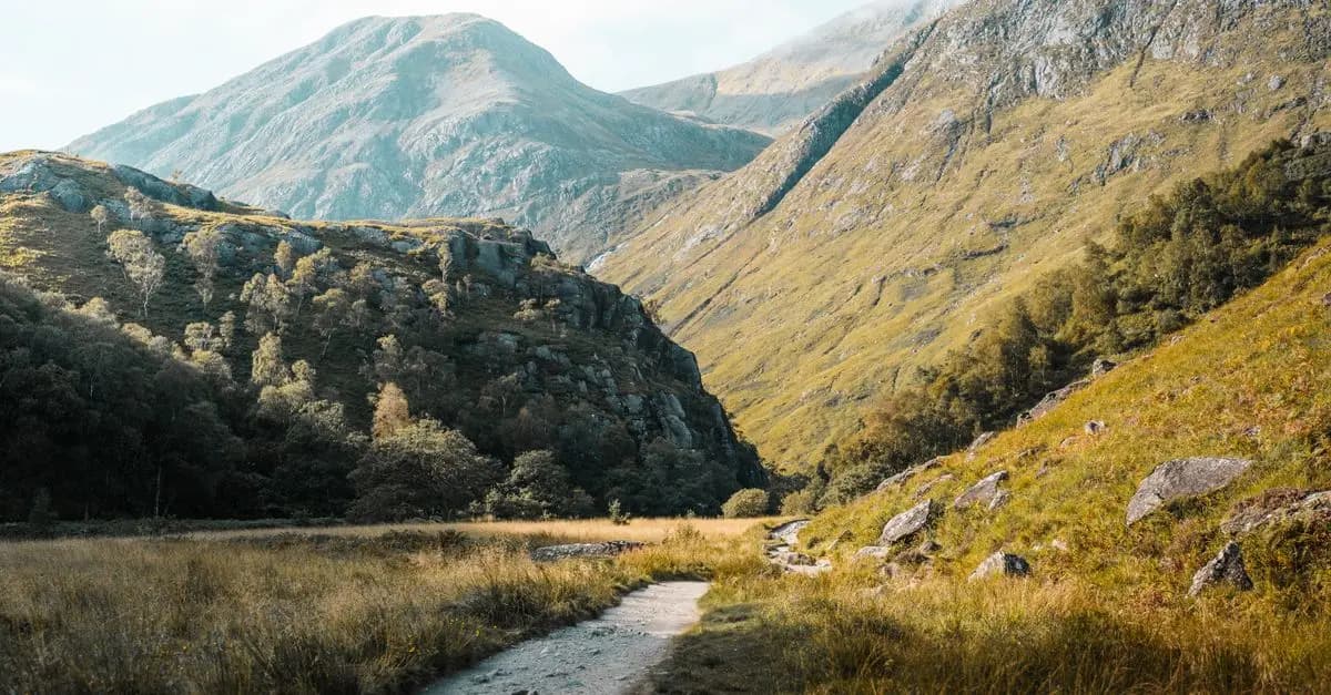10 Best Nature Trails to Explore in the UK