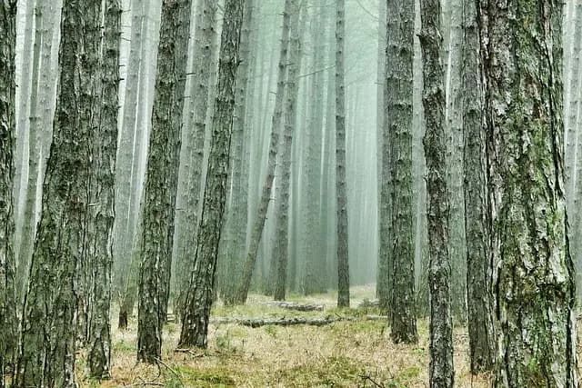 Les Meilleures Activités de Loisirs en Plein Air à Tester