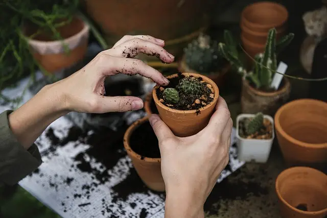 10 Idées de Loisirs Écologiques à Tester au Royaume-Uni