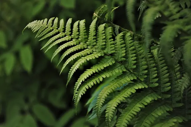 10 Activités de Loisirs Écologiques à Tester au Royaume-Uni