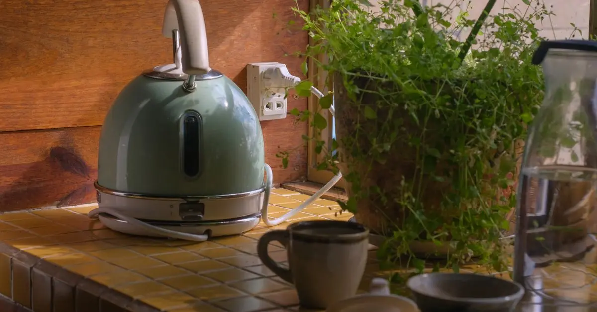How to Start a Herb Garden at Home