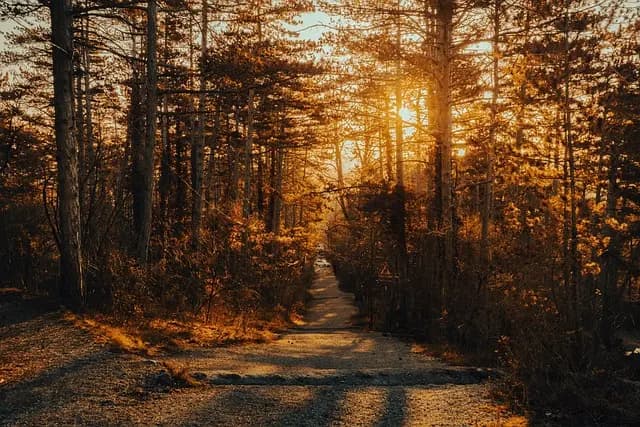 Top 10 Eco-Friendly Leisure Activities to Try in the UK