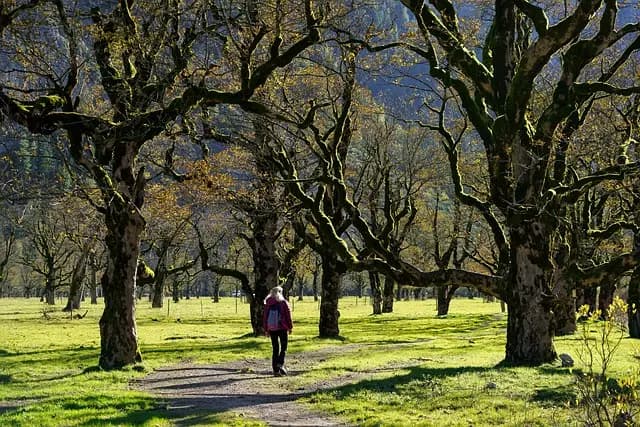10 Astuces pour Organiser un Week-end de Loisirs Réussi