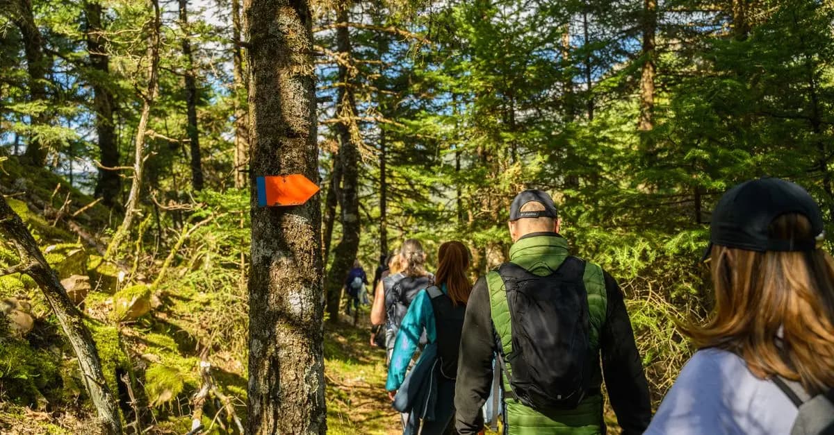 10 Activités de Loisirs Éco-Responsables à Tester au Royaume-Uni