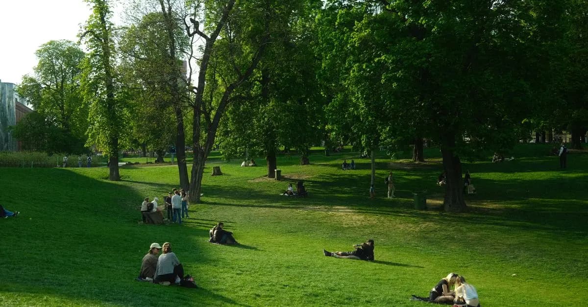 10 Inspiring Outdoor Activities to Try This Weekend