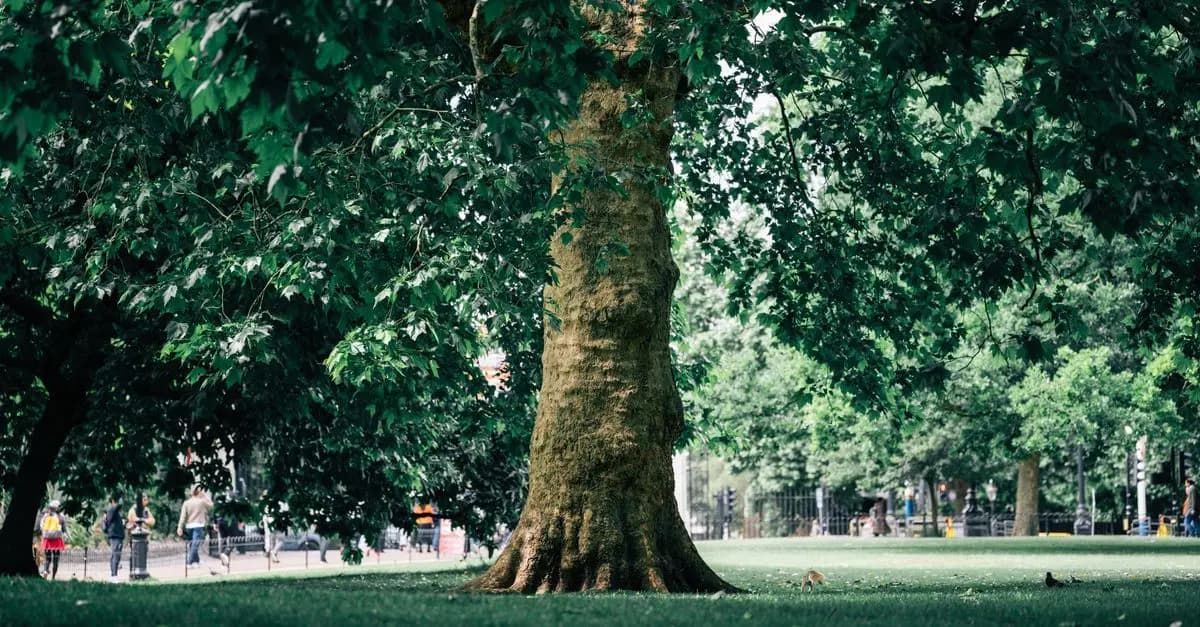 10 Astuces pour Profiter des Loisirs Écologiques au Royaume-Uni