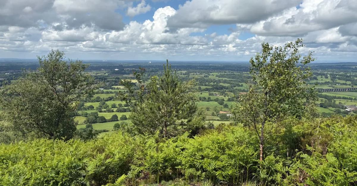 10 Activités de Loisirs Écologiques à Découvrir au Royaume-Uni