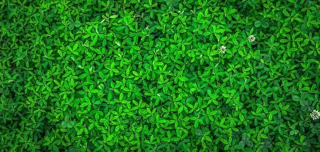 10 Activités de Loisirs Écologiques à Tester au Royaume-Uni