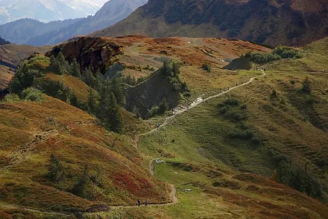 10 Activités de Loisirs Écologiques à Tester au Royaume-Uni