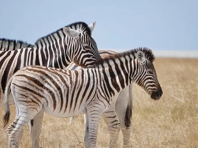 10 Activités de Loisirs Originales à Essayer au Royaume-Uni