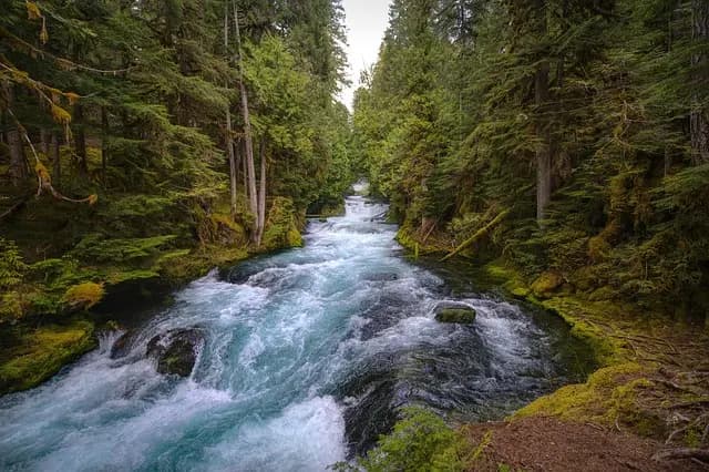 10 Activités de Loisirs Écologiques à Découvrir au Royaume-Uni