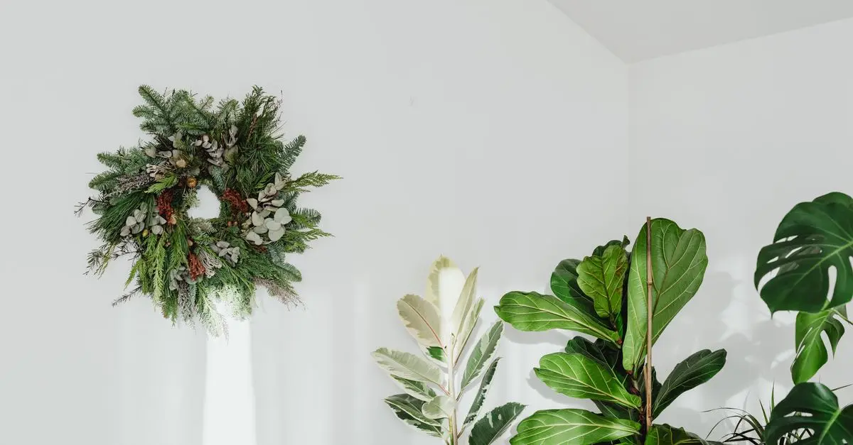 Comment Créer un Espace Zen à la Maison