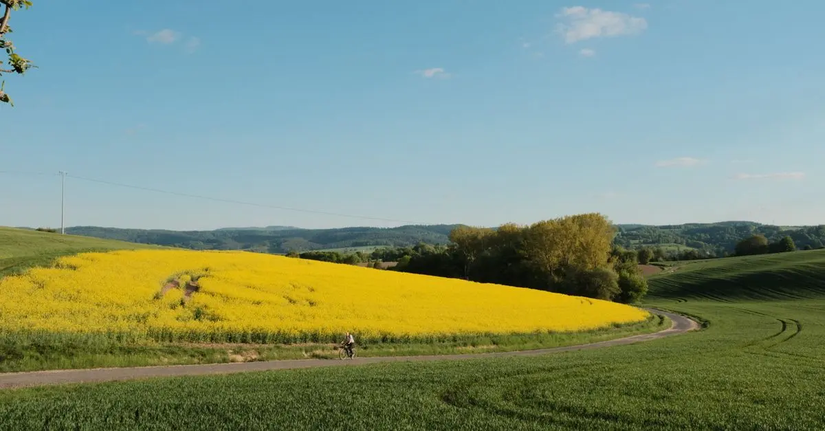 Top 10 Cycling Routes Through English Countryside