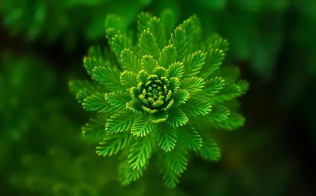 10 Idées de Loisirs Écologiques à Tester au Royaume-Uni