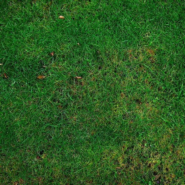 10 Idées De Loisirs Écologiques À Tester Au Royaume-Uni