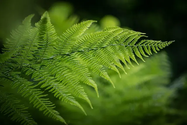 10 Activités de Loisirs Écologiques à Tester au Royaume-Uni