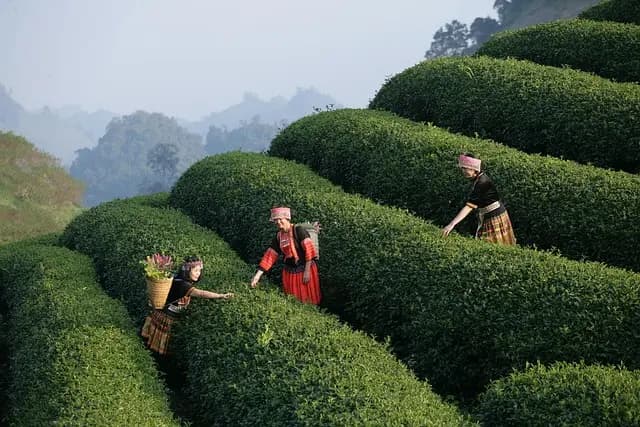 Unique Leisure Experiences to Enjoy in the UK