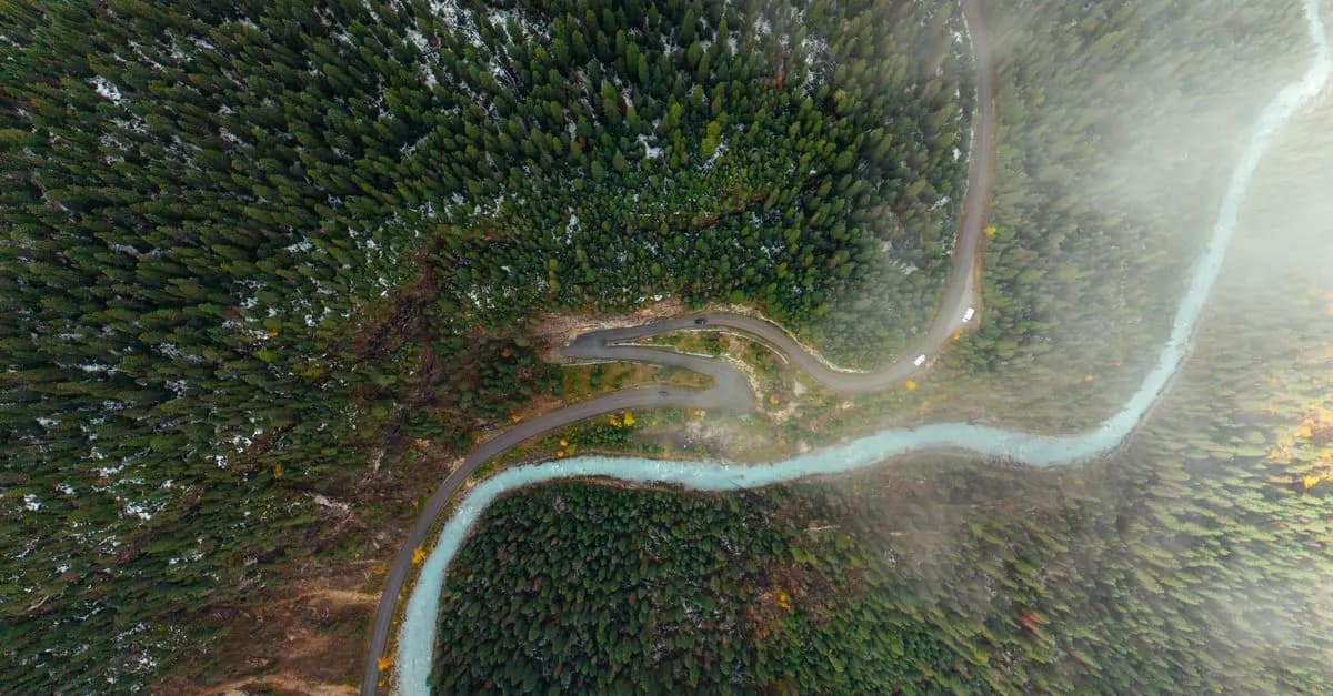 Top 10 des Activités de Loisirs Écologiques à Tester au Royaume-Uni