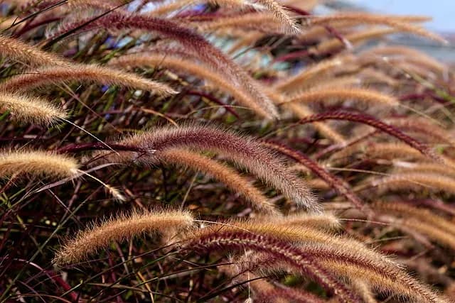 10 Activités de Loisirs Écologiques à Découvrir au Royaume-Uni