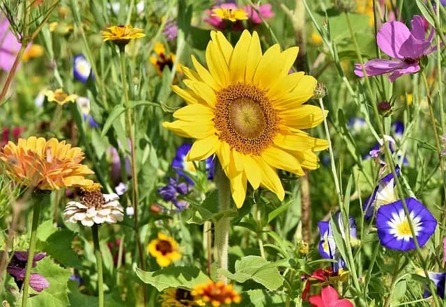 10 Activités de Loisirs à Découvrir au Royaume-Uni
