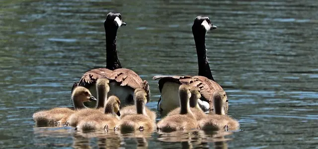 10 Creative Leisure Activities to Try with Family