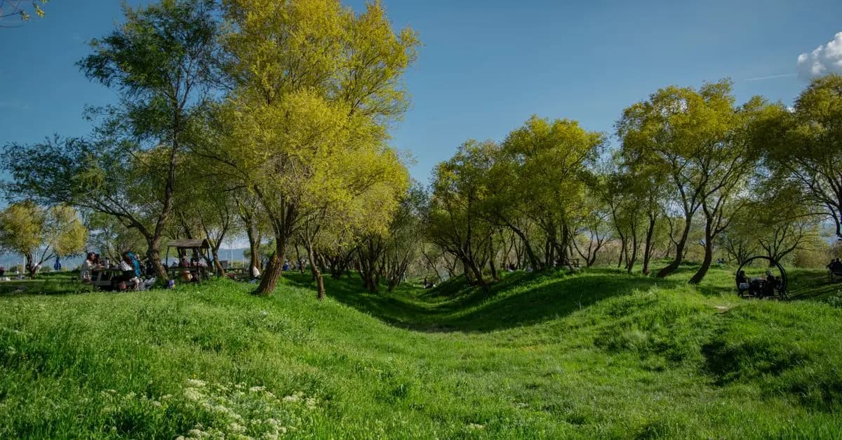 10 Activités de Loisirs Relaxantes à Essayer cet Été
