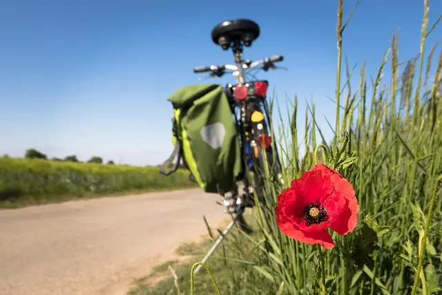 Comment Choisir les Meilleures Activités de Loisirs au Royaume-Uni