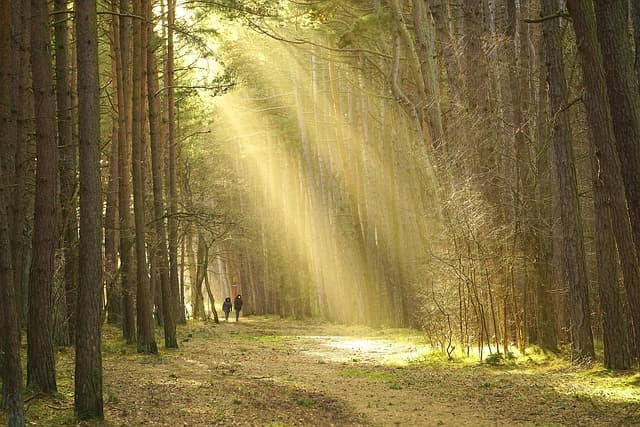10 Unique Outdoor Activities to Experience in the UK