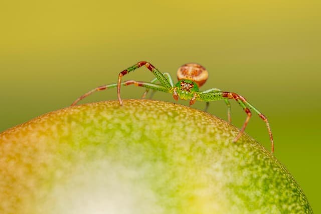 10 Activités de Loisirs Innovantes à Tester au Royaume-Uni