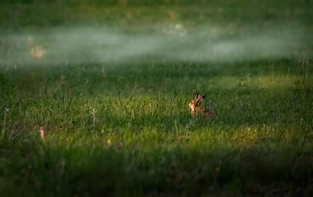 10 Activités de Loisirs Écologiques à Tester au Royaume-Uni