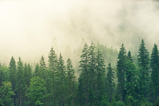 10 New Outdoor Activities to Discover in the UK