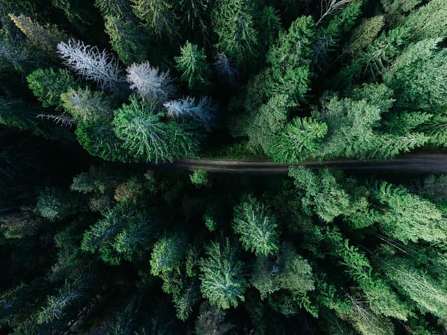 10 Activités de Loisirs Alternatives à Tester au Royaume-Uni