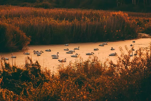 Top 10 Unique Leisure Activities to Experience in the UK