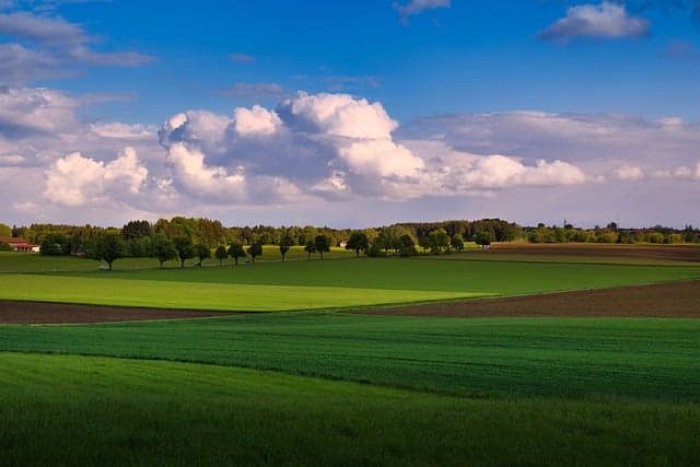 10 Idées de Loisirs Écologiques à Tester au Royaume-Uni