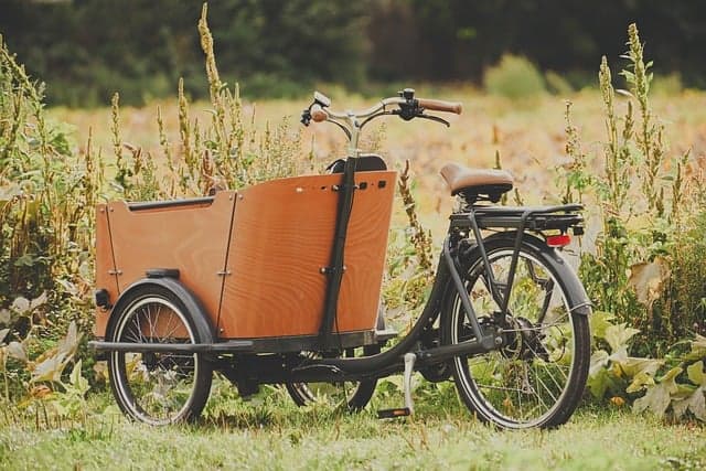 10 Activités de Loisirs Écologiques à Essayer dans votre Région