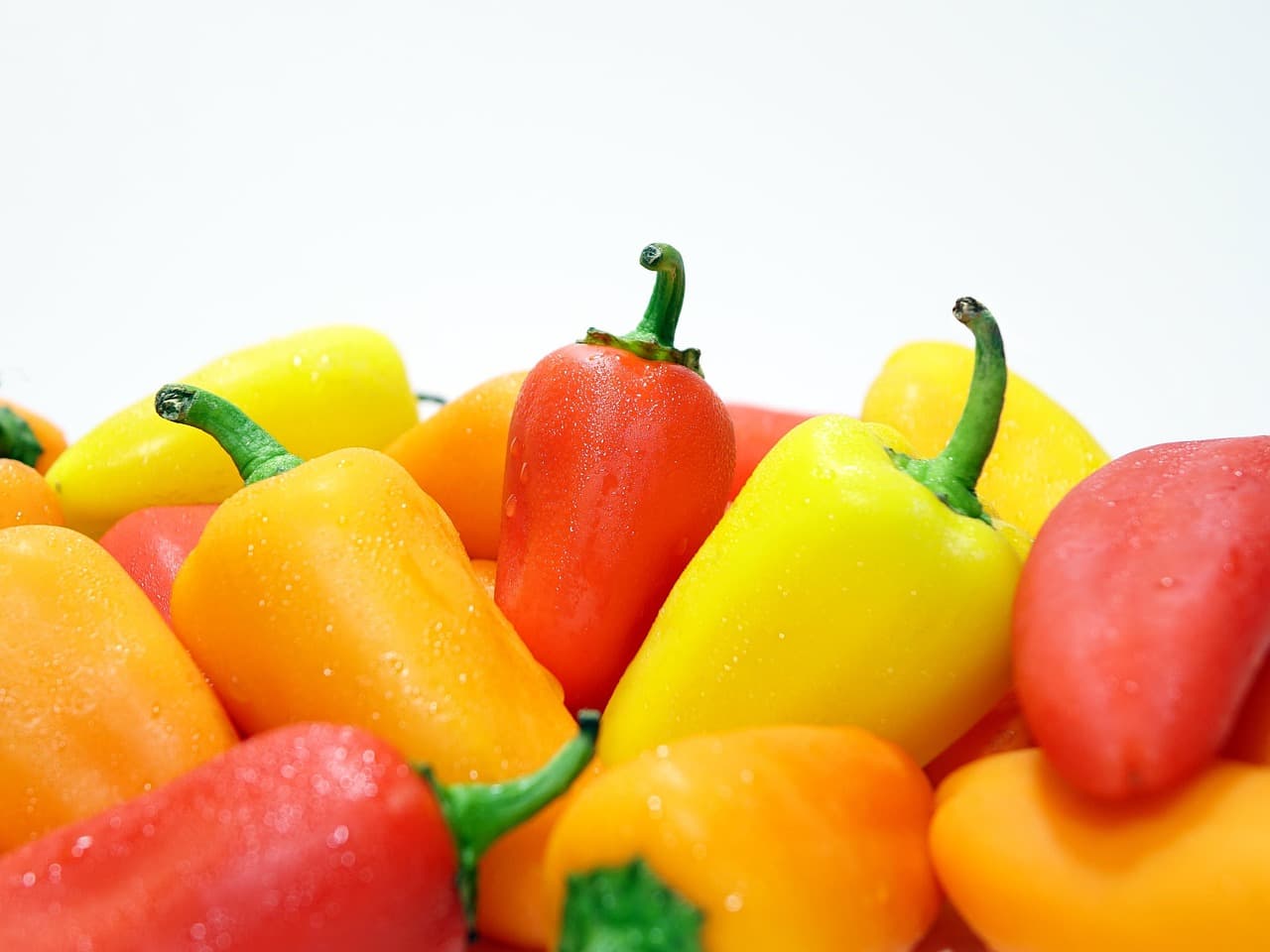 Comment Développer vos Compétences en Cuisine Végétarienne