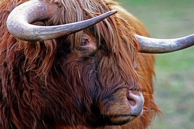 10 Thrilling Outdoor Activities to Experience in the UK